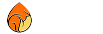 Logo Kitudo Flavours